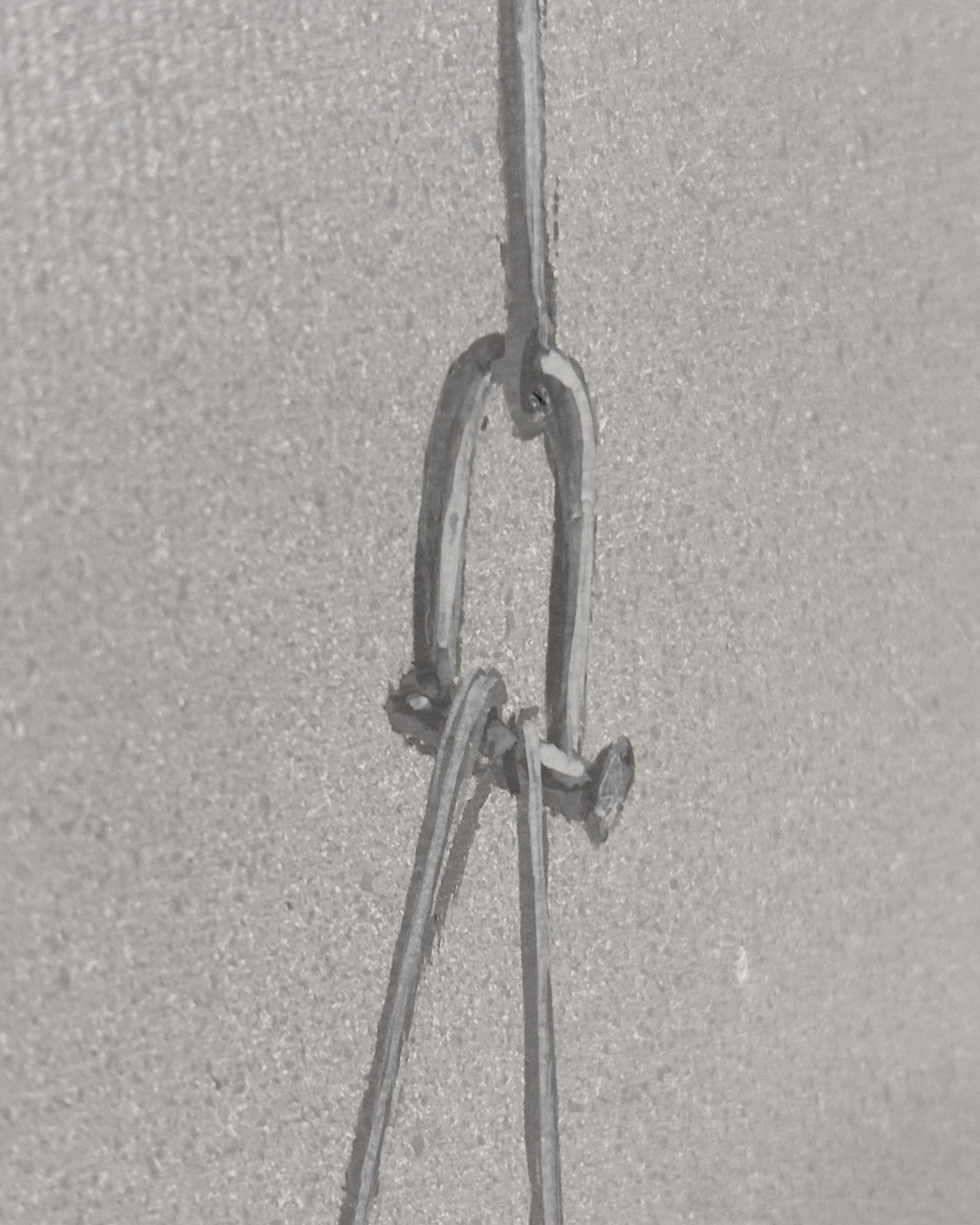 037 | M. BIASION | 1983