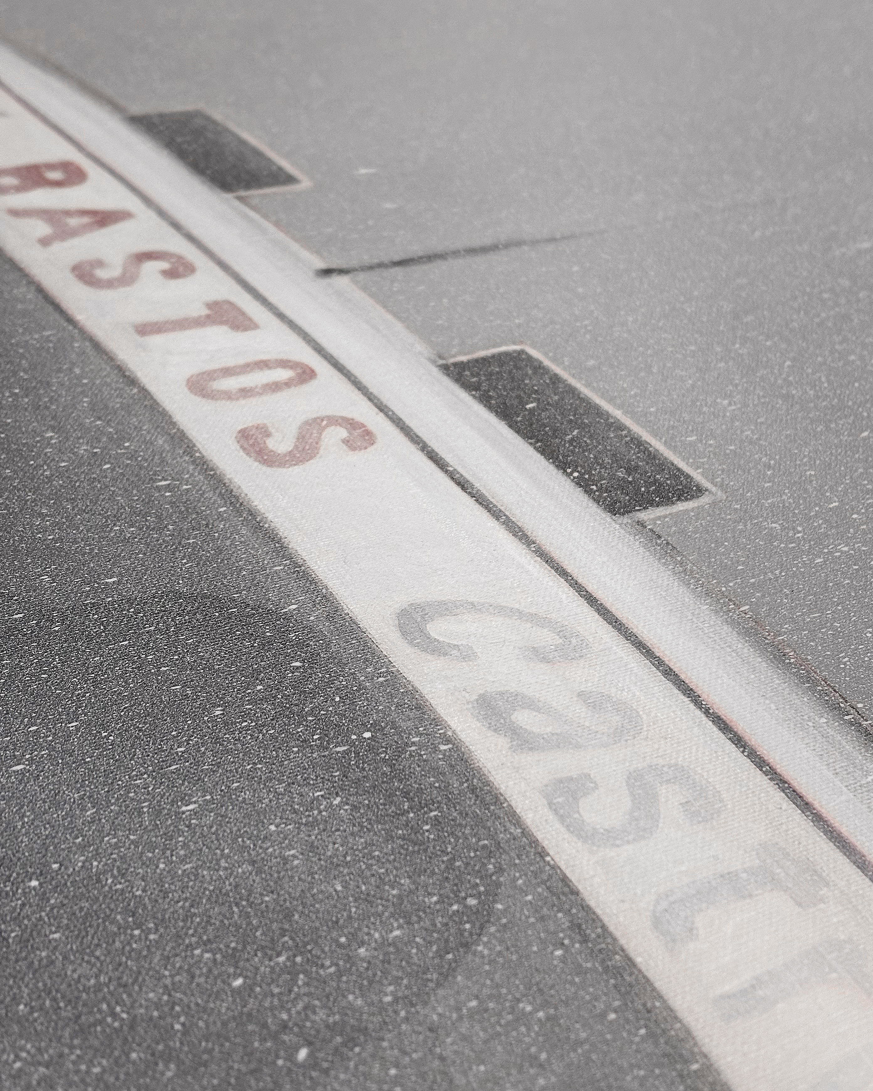 E30 M3 | P. SNIJERS | 1988